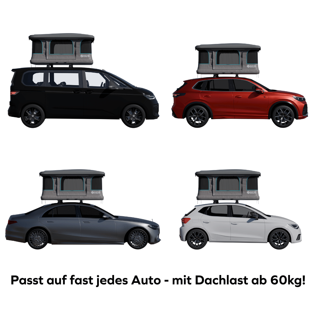 FLITZER 1 L (2025)